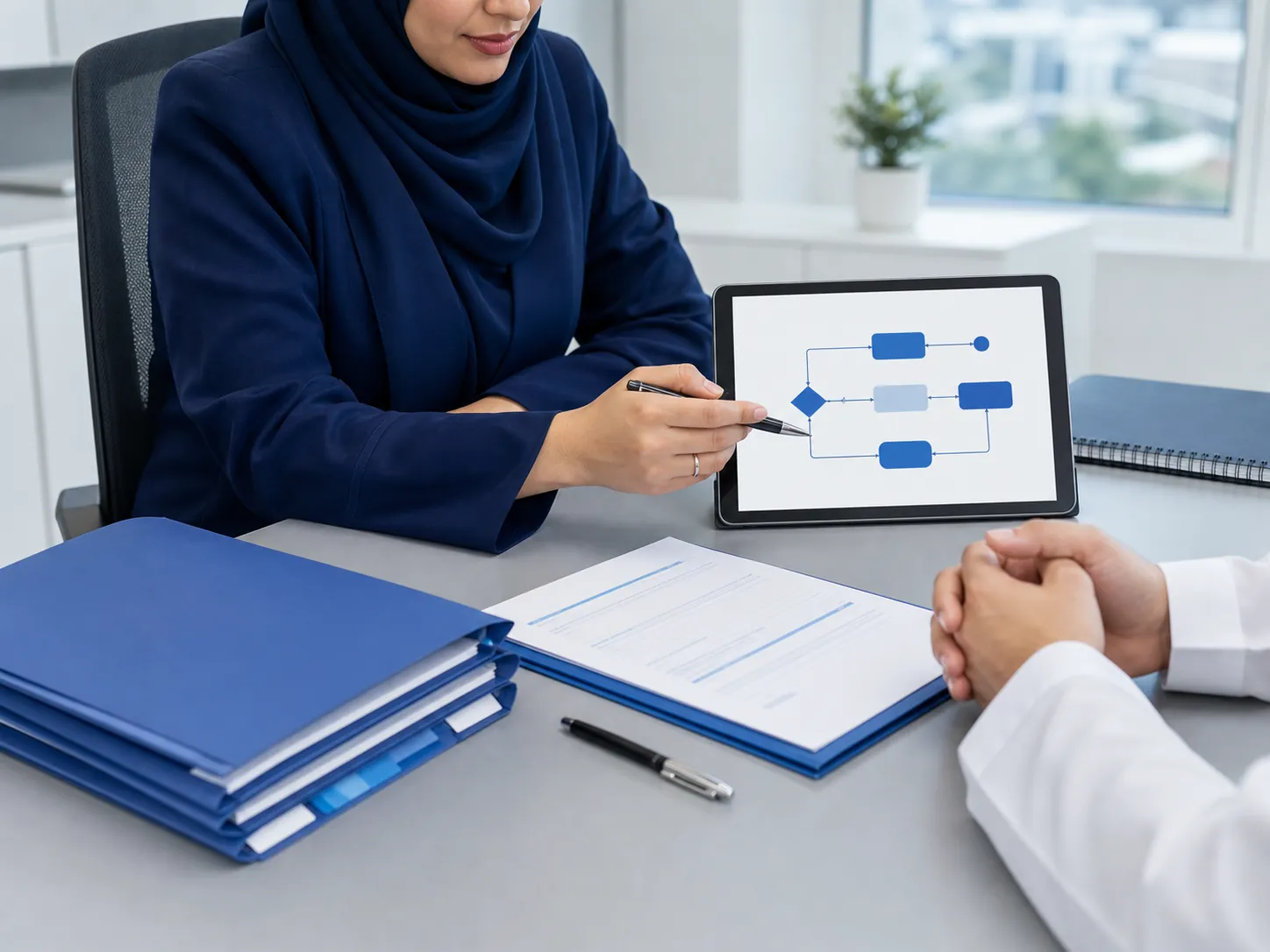Advisor explaining a coordinated UAE government transaction workflow